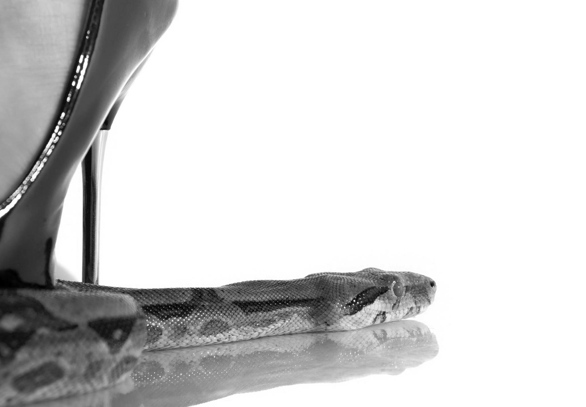 Jorits Media - studio photography